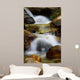 Creek Waterfall Wall Decal