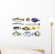 Different Kind Ocean Fish Wall Decal