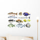 Different Kind Ocean Fish Wall Decal
