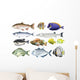 Different Kind Ocean Fish Wall Decal