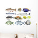 Different Kind Ocean Fish Wall Decal