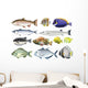 Different Kind Ocean Fish Wall Decal
