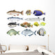 Different Kind Ocean Fish Wall Decal