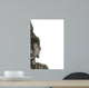Statue Buddha White Wall Decal