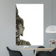 Statue Buddha White Wall Decal