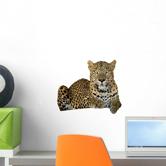 Leopard Wall Decal