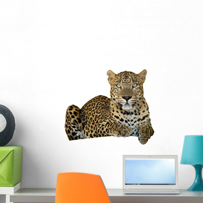 Leopard Wall Decal shown on a wall