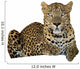 Leopard Wall Decal