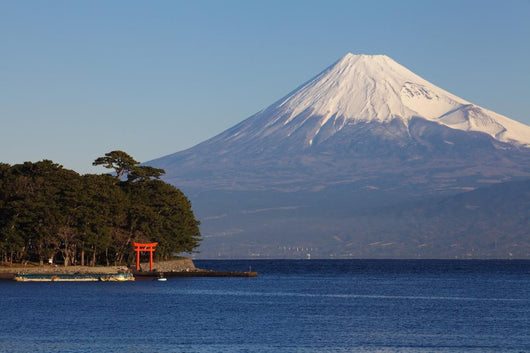 Mountain Fuji and Ocean Wall Decal