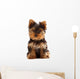 Yorkshire Terrier Puppy Wall Decal