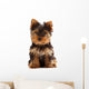 Yorkshire Terrier Puppy Wall Decal