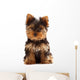 Yorkshire Terrier Puppy Wall Decal