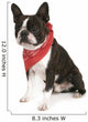 Boston Terrier with Red Wall Decal
