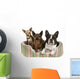 Three Dog Friends Pet Wall Decal