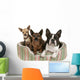 Three Dog Friends Pet Wall Decal