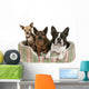 Three Dog Friends Pet Wall Decal