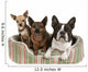 Three Dog Friends Pet Wall Decal