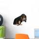 Baby Basset Hound Beagle Wall Decal