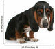 Baby Basset Hound Beagle Wall Decal