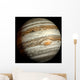 Jupiter Wall Decal