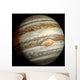 Jupiter Wall Decal