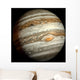 Jupiter Wall Decal