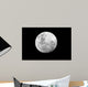 Full Moon over African Wall Decal