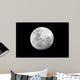 Full Moon over African Wall Decal