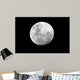 Full Moon over African Wall Decal
