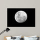 Full Moon over African Wall Decal
