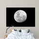 Full Moon over African Wall Decal