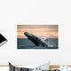 Jumping Humpback Whale Wall Decal
