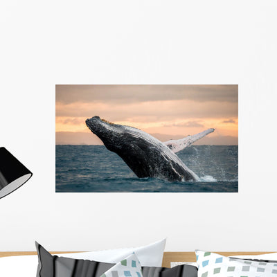 Jumping Humpback Whale Wall Decal shown on a wall