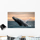 Jumping Humpback Whale Wall Decal