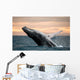 Jumping Humpback Whale Wall Decal