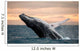Jumping Humpback Whale Wall Decal