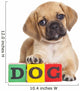 Puggle Puppy with Wooden Blocks Wall Decal