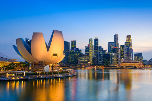 Singapore Skyline Wall Decal