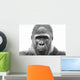 Old Gorilla Wall Decal