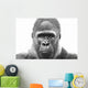 Old Gorilla Wall Decal