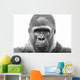 Old Gorilla Wall Decal