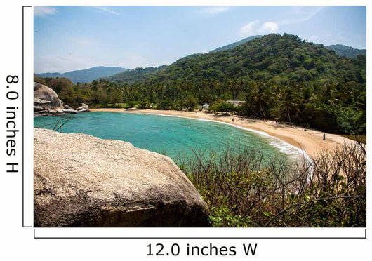 Maravilloso Parque Nacional Tayrona Forest Wall Decal