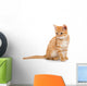 Orange Striped Little Kitten Wall Decal