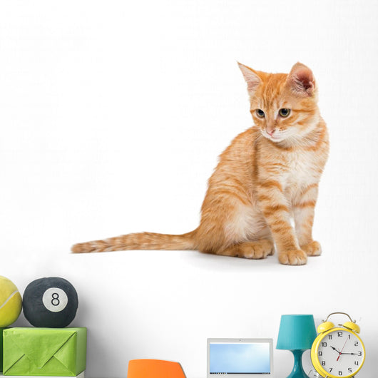 Orange Striped Little Kitten Wall Decal