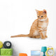 Orange Striped Little Kitten Wall Decal