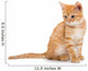 Orange Striped Little Kitten Wall Decal