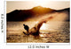 Silhouette Water Skier Wall Decal
