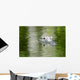 American Alligator Beautiful Water Wall Decal