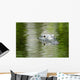 American Alligator Beautiful Water Wall Decal