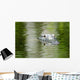 American Alligator Beautiful Water Wall Decal